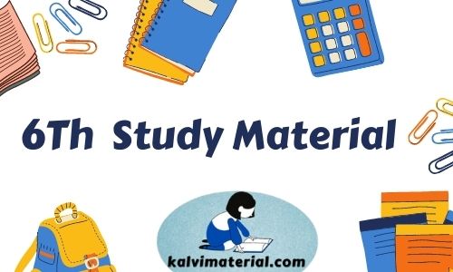 6Th Term 3 Study Material And Guides 